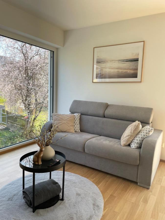 Luxury - Apartment Mit Balkon In Seenaehe Gmunden Esterno foto